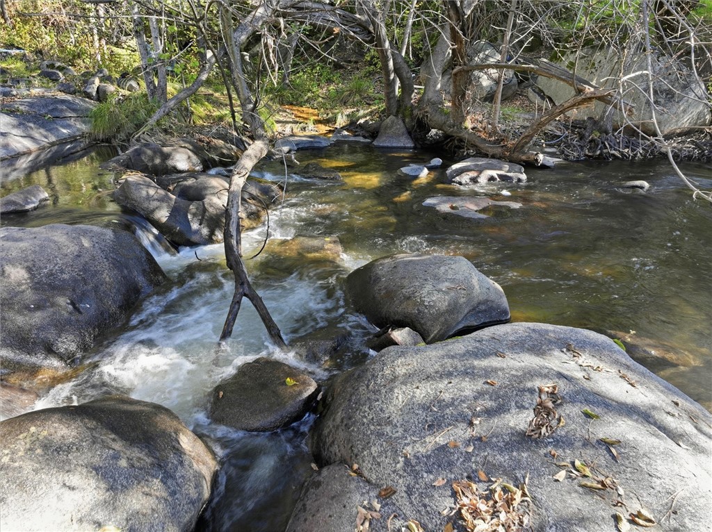 50015 Lilac Ln, Oakhurst, CA 93644