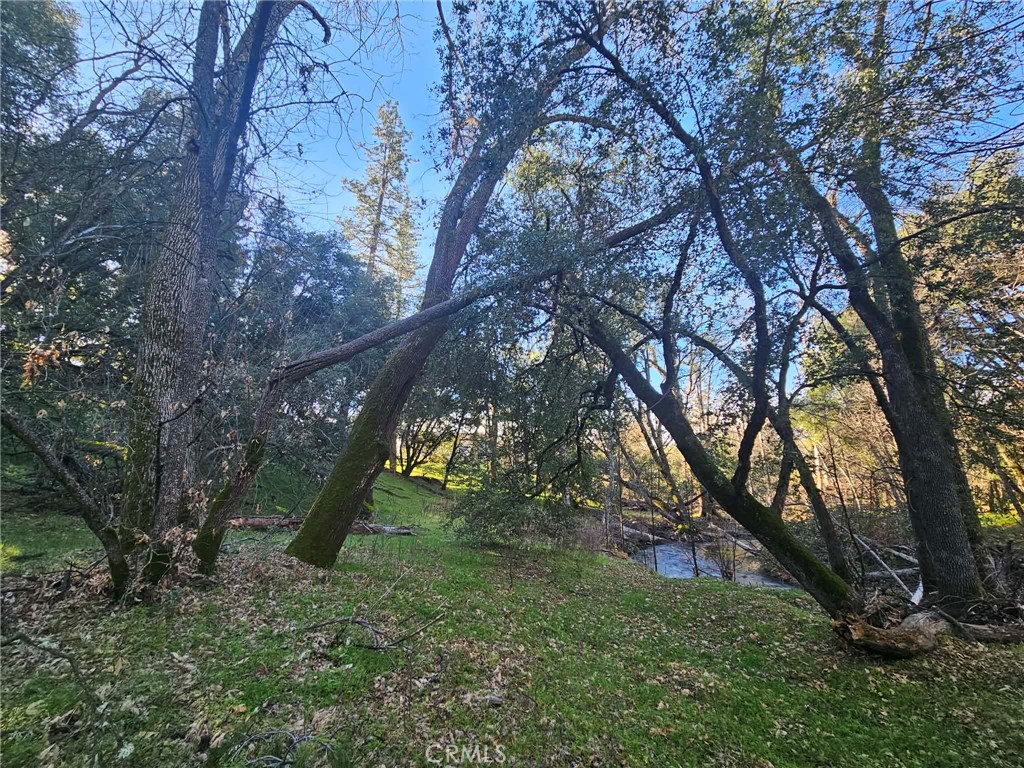 8 ac Road 225, North Fork, CA 93643
