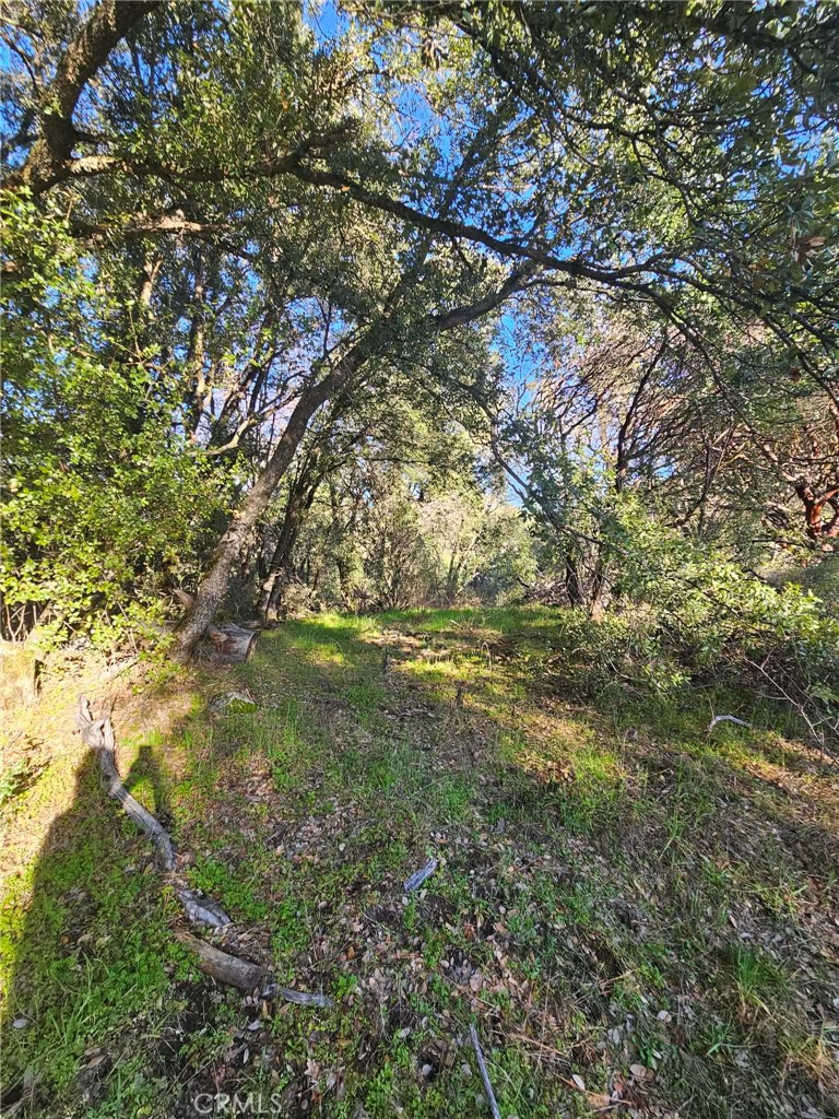 8 ac Road 225, North Fork, CA 93643