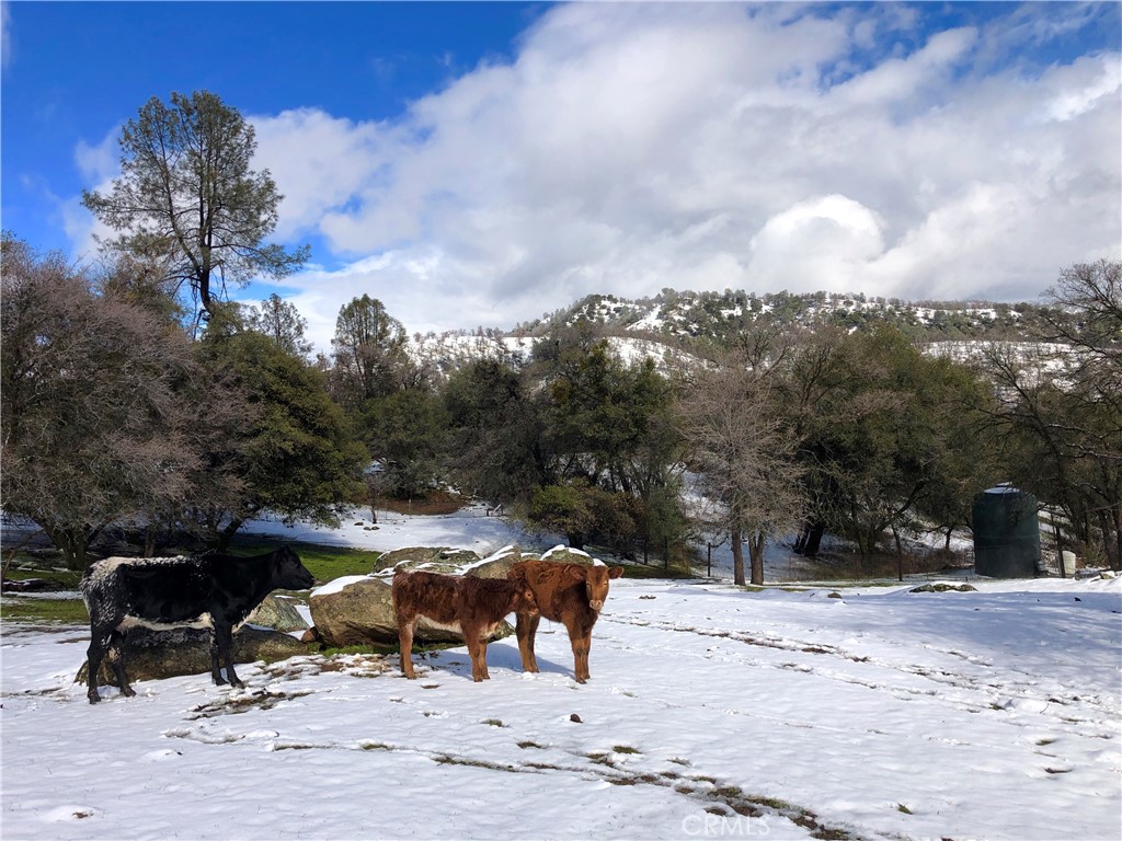 34200 Old Hickory, Coarsegold, CA 93614