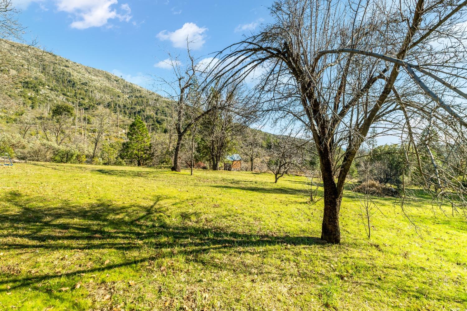 36659 Douglas Ranger Station Rd, North Fork, CA 93643