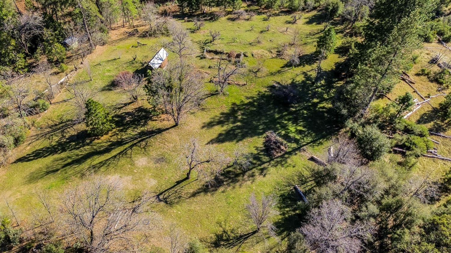 36659 Douglas Ranger Station Rd, North Fork, CA 93643