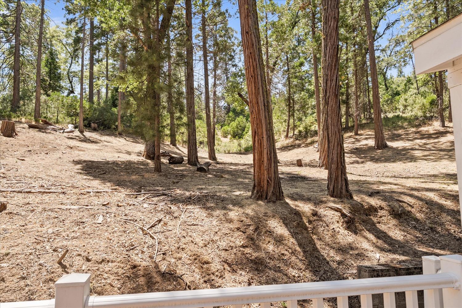 36232 Finegold Creek Dr, North Fork, CA 93643