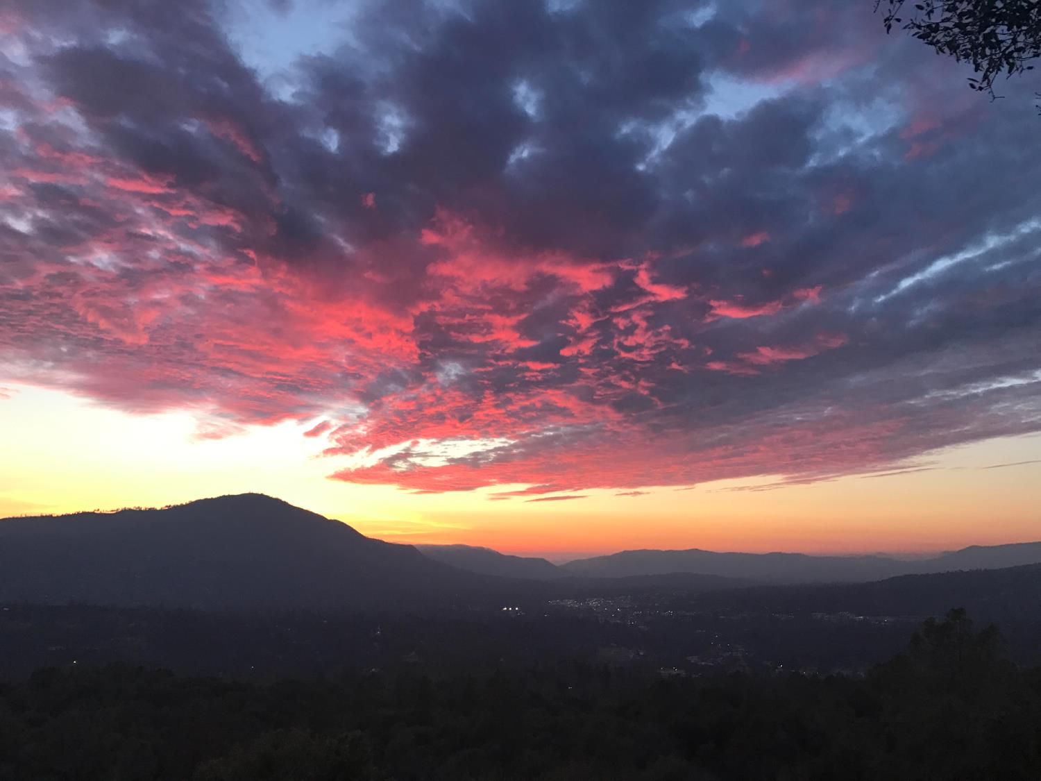 51571 Coyote Ridge Rd