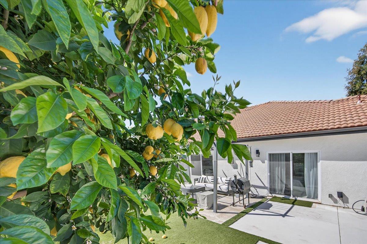 1555 Taylor Ln, Madera, CA 93637